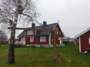 Trädfällning Kalmar - Trädfällning i Kalmar